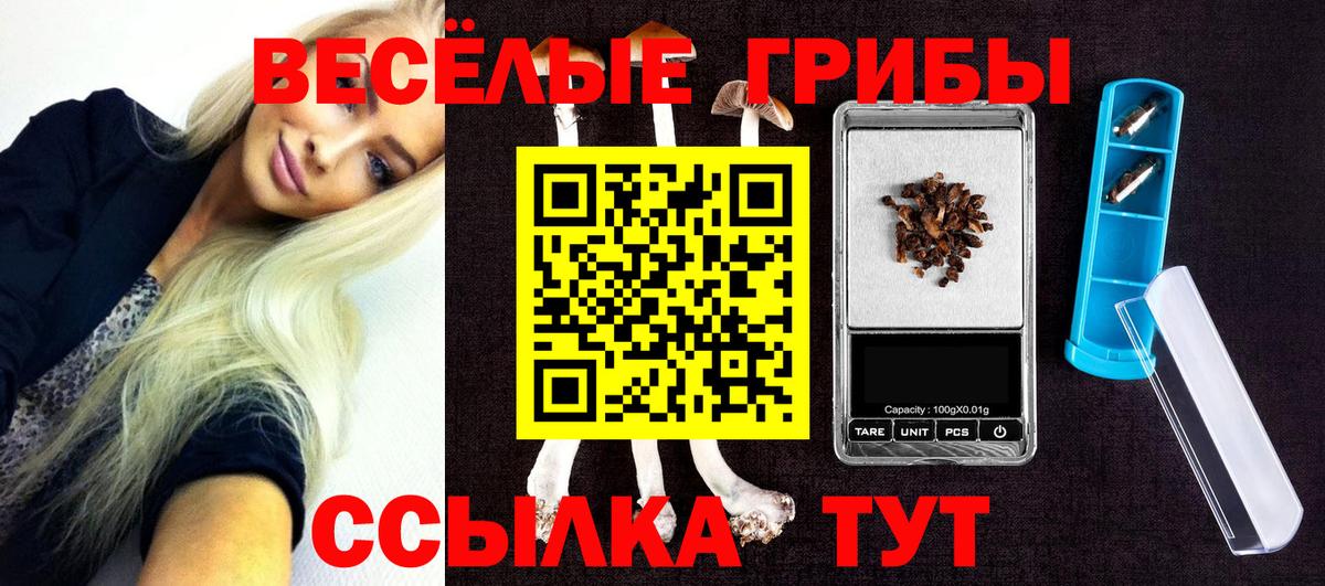 Галлюциногенные грибы MAGIC MUSHROOMS  Вход с VPN  Красноармейск 